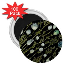 Sea Weed Salt Water 2 25  Magnets (100 Pack)  by Maspions