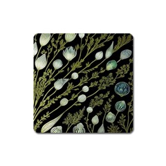 Sea Weed Salt Water Square Magnet