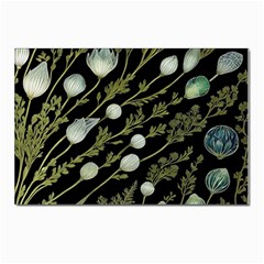 Sea Weed Salt Water Postcards 5  X 7  (pkg Of 10)