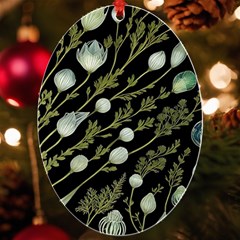 Sea Weed Salt Water Uv Print Acrylic Ornament Oval by Maspions