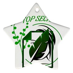 Top Secret Star Ornament (two Sides)