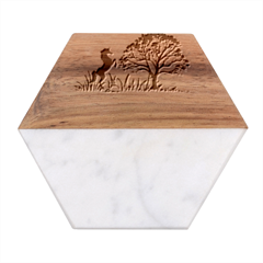 20240506 111024 0000 Marble Wood Coaster (hexagon)  by Safin