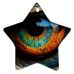 Eye Bird Feathers Vibrant Ornament (star) by Hannah976