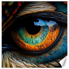 Eye Bird Feathers Vibrant Canvas 16  X 16  by Hannah976