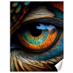 Eye Bird Feathers Vibrant Canvas 36  X 48  by Hannah976