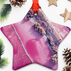 Texture Pink Pattern Paper Grunge Star Ornament (two Sides) by Ndabl3x