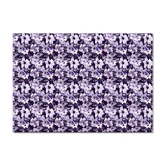 Purple Roses 1 Purple Roses Sticker A4 (10 pack)