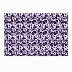 Purple Roses 1 Purple Roses Postcard 4 x 6  (Pkg of 10)