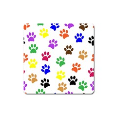 Pawprints Paw Prints Paw Animal Square Magnet by Apen