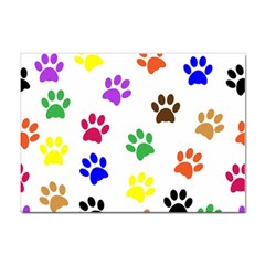 Pawprints Paw Prints Paw Animal Sticker A4 (100 Pack) by Apen