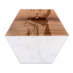 Wild cat Marble Wood Coaster (Hexagon) 