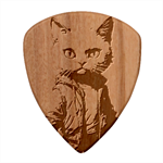 Wild cat Guitar Shape Wood Guitar Pick Holder Case And Picks Set Pick