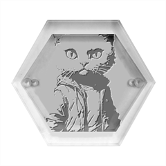 Wild Cat Hexagon Wood Jewelry Box