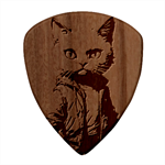 Wild cat Square Wood Guitar Pick Holder Case And Picks Set Pick