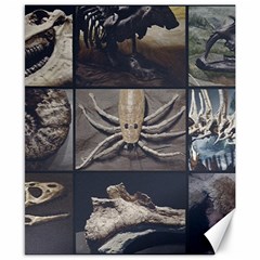 Paleontology Museum Pieces Photo Colllage Canvas 8  X 10  by dflcprintsclothing