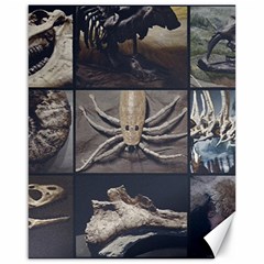 Paleontology Museum Pieces Photo Colllage Canvas 16  X 20  by dflcprintsclothing