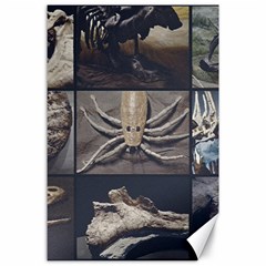 Paleontology Museum Pieces Photo Colllage Canvas 24  X 36  by dflcprintsclothing