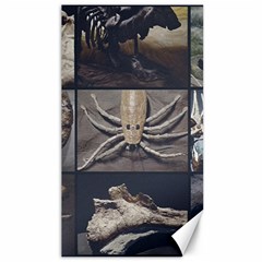 Paleontology Museum Pieces Photo Colllage Canvas 40  X 72  by dflcprintsclothing