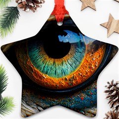 Eye Bird Feathers Vibrant Ornament (star)