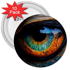 Eye Bird Feathers Vibrant 3  Buttons (10 Pack)  by Hannah976