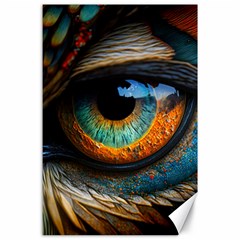 Eye Bird Feathers Vibrant Canvas 24  X 36  by Hannah976