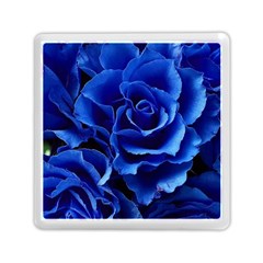 Blue Roses Flowers Plant Romance Blossom Bloom Nature Flora Petals Memory Card Reader (square) by Proyonanggan