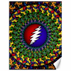 Grateful Dead Bear Pattern Canvas 12  X 16  by Maspions