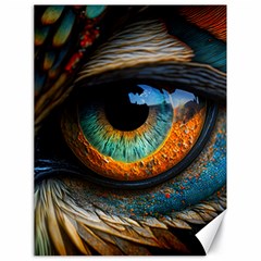 Eye Bird Feathers Vibrant Canvas 18  X 24  by Hannah976