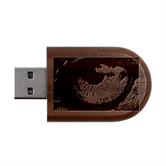 Eye Bird Feathers Vibrant Wood Oval Usb Flash Drive by Hannah976