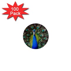 Peacock Bird Feathers Pheasant Nature Animal Texture Pattern 1  Mini Buttons (100 Pack)  by Bedest