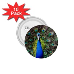 Peacock Bird Feathers Pheasant Nature Animal Texture Pattern 1 75  Buttons (10 Pack) by Bedest