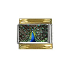 Peacock Bird Feathers Pheasant Nature Animal Texture Pattern Gold Trim Italian Charm (9mm)