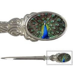 Peacock Bird Feathers Pheasant Nature Animal Texture Pattern Letter Opener by Bedest