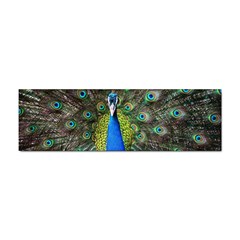 Peacock Bird Feathers Pheasant Nature Animal Texture Pattern Sticker Bumper (10 Pack) by Bedest