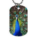 Peacock Bird Feathers Pheasant Nature Animal Texture Pattern Dog Tag (Two Sides) Front