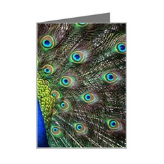 Peacock Bird Feathers Pheasant Nature Animal Texture Pattern Mini Greeting Card by Bedest