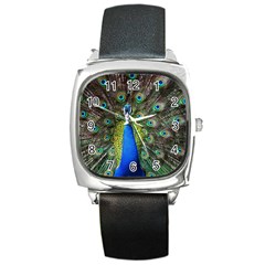 Peacock Bird Feathers Pheasant Nature Animal Texture Pattern Square Metal Watch by Bedest