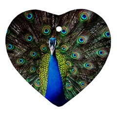 Peacock Bird Feathers Pheasant Nature Animal Texture Pattern Heart Ornament (two Sides) by Bedest