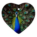 Peacock Bird Feathers Pheasant Nature Animal Texture Pattern Heart Ornament (Two Sides) Front