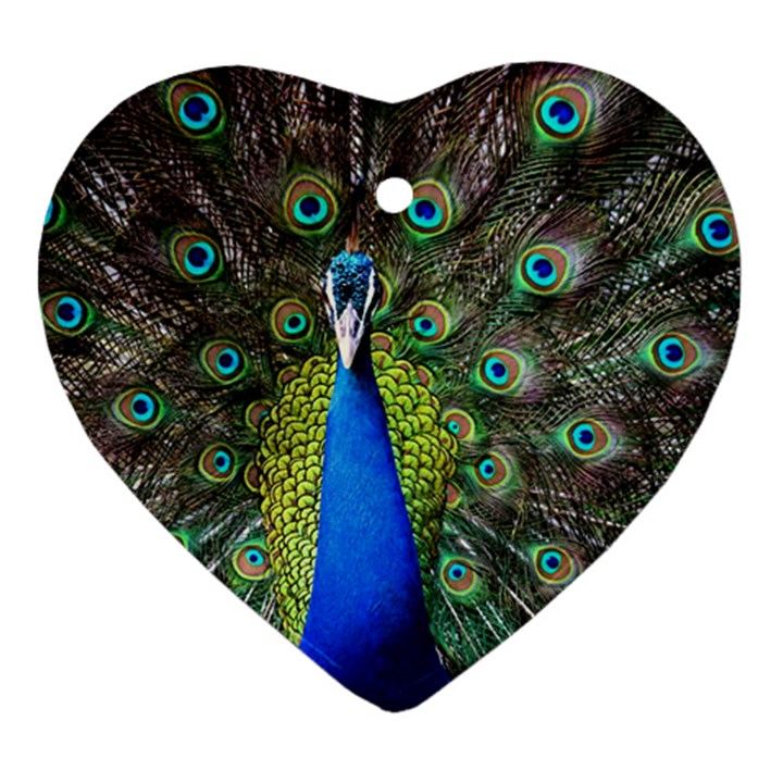 Peacock Bird Feathers Pheasant Nature Animal Texture Pattern Heart Ornament (Two Sides)