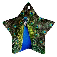 Peacock Bird Feathers Pheasant Nature Animal Texture Pattern Star Ornament (two Sides) by Bedest