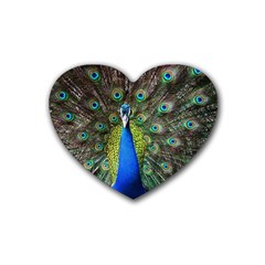 Peacock Bird Feathers Pheasant Nature Animal Texture Pattern Rubber Coaster (heart)