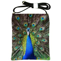 Peacock Bird Feathers Pheasant Nature Animal Texture Pattern Shoulder Sling Bag by Bedest