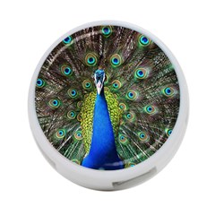 Peacock Bird Feathers Pheasant Nature Animal Texture Pattern 4-port Usb Hub (two Sides) by Bedest