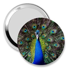 Peacock Bird Feathers Pheasant Nature Animal Texture Pattern 3  Handbag Mirrors by Bedest