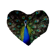 Peacock Bird Feathers Pheasant Nature Animal Texture Pattern Standard 16  Premium Heart Shape Cushions by Bedest