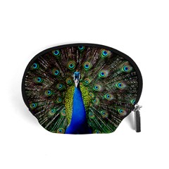 Peacock Bird Feathers Pheasant Nature Animal Texture Pattern Accessory Pouch (small) by Bedest