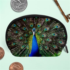 Peacock Bird Feathers Pheasant Nature Animal Texture Pattern Accessory Pouch (large) by Bedest