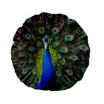 Peacock Bird Feathers Pheasant Nature Animal Texture Pattern Standard 15  Premium Flano Round Cushions Front