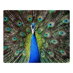 Peacock Bird Feathers Pheasant Nature Animal Texture Pattern Two Sides Premium Plush Fleece Blanket (large) by Bedest